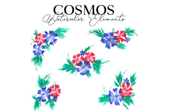 Cosmos Regular Flower: Design Ideas & Uses