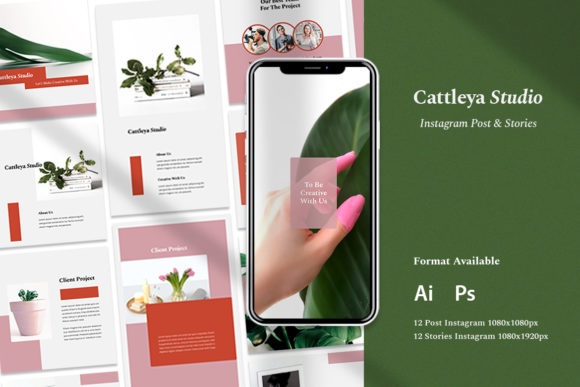 Elevate Your Brand Identity with Instagram Post Stories - Cattleya