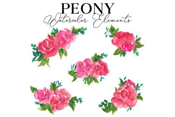 Peony Regular Watercolor: A Strategic Design Asset for Modern Creatives
