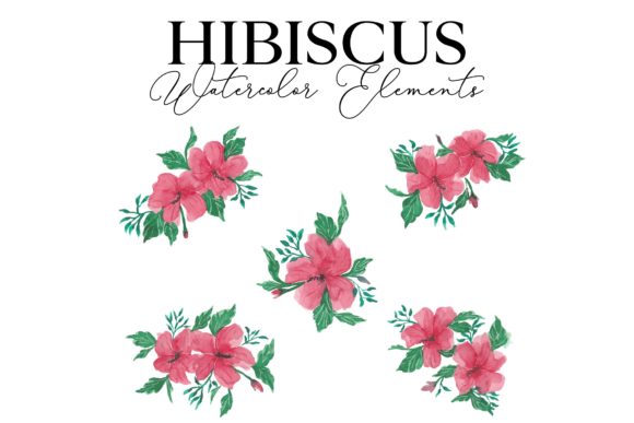 Unlocking the Versatility of Hibiscus Flower Reguler in Daily Life